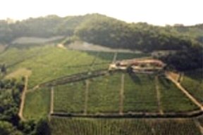 WA100点 エリオ・グラッソ バローロ ルンコト マグナム 2013年 WA100点 エリオ・グラッソ バローロ ルンコト マグナム 2013年 WA100点